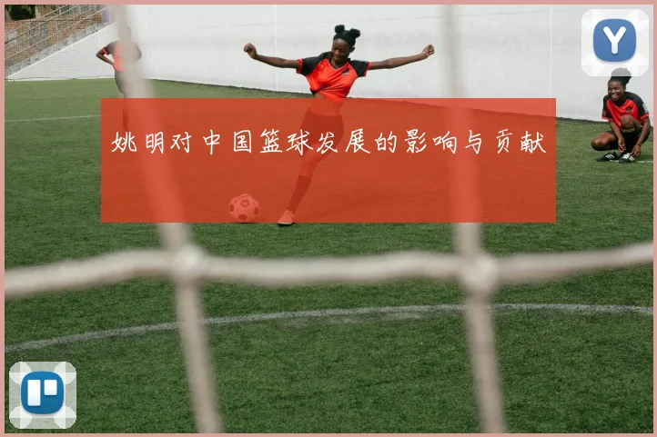 姚明对中国篮球发展的影响与贡献