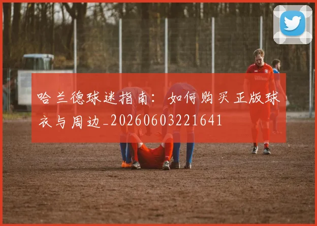 哈兰德球迷指南:如何购买正版球衣与周边_20260603221641