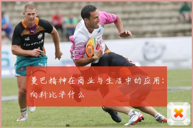 曼巴精神在商业与生活中的应用:向科比学什么