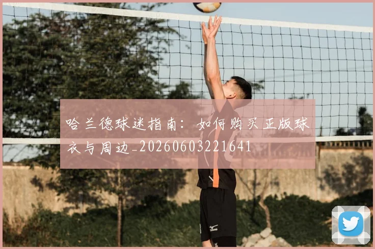 哈兰德球迷指南:如何购买正版球衣与周边_20260603221641